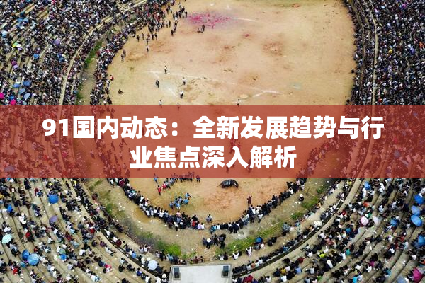 91国内动态：全新发展趋势与行业焦点深入解析