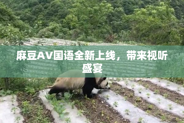 麻豆A∨国语全新上线，带来视听盛宴