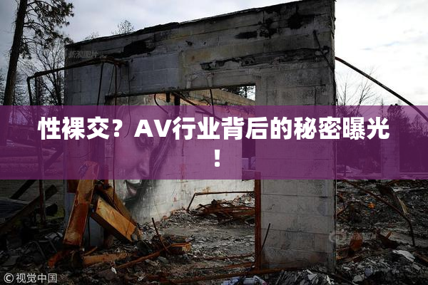 性裸交？AV行业背后的秘密曝光！