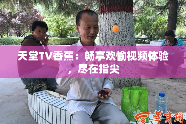 天堂TV香蕉：畅享欢愉视频体验，尽在指尖