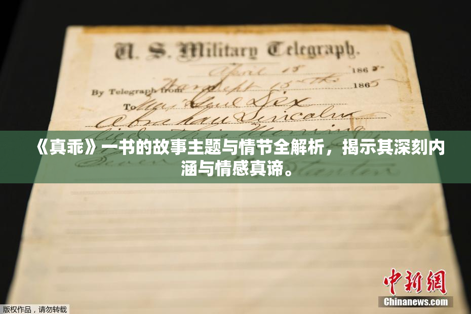 《真乖》一书的故事主题与情节全解析，揭示其深刻内涵与情感真谛。