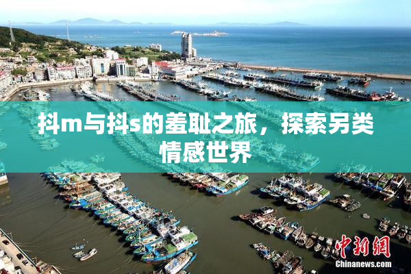 抖m与抖s的羞耻之旅，探索另类情感世界