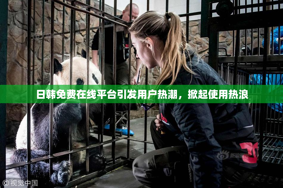 日韩免费在线平台引发用户热潮，掀起使用热浪