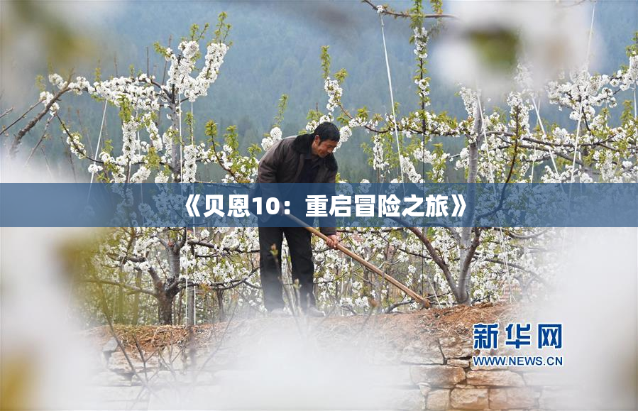 《贝恩10：重启冒险之旅》