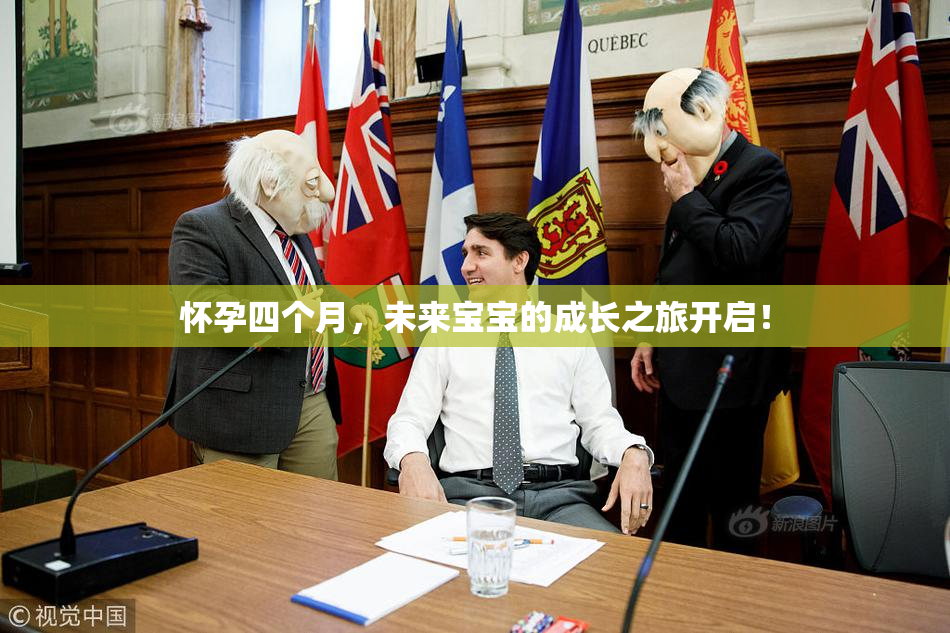 怀孕四个月，未来宝宝的成长之旅开启！