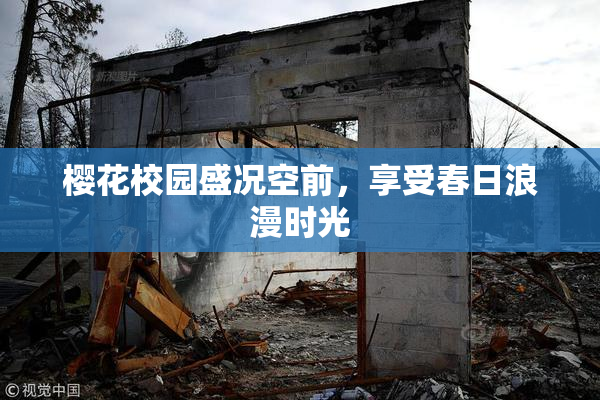 樱花校园盛况空前，享受春日浪漫时光