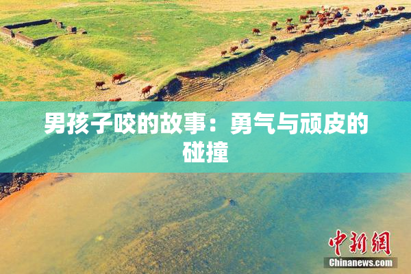 男孩子咬的故事：勇气与顽皮的碰撞