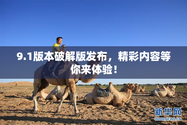 9.1版本破解版发布，精彩内容等你来体验！