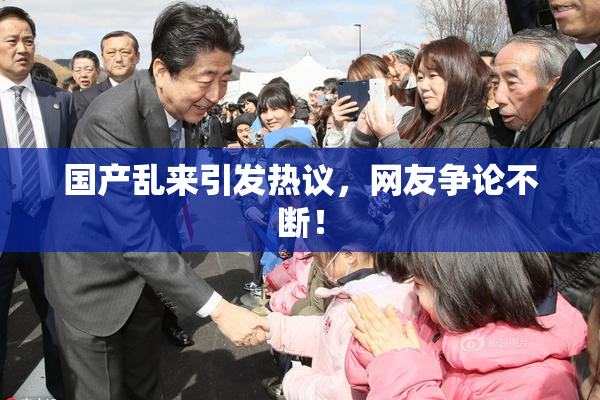 国产乱来引发热议，网友争论不断！
