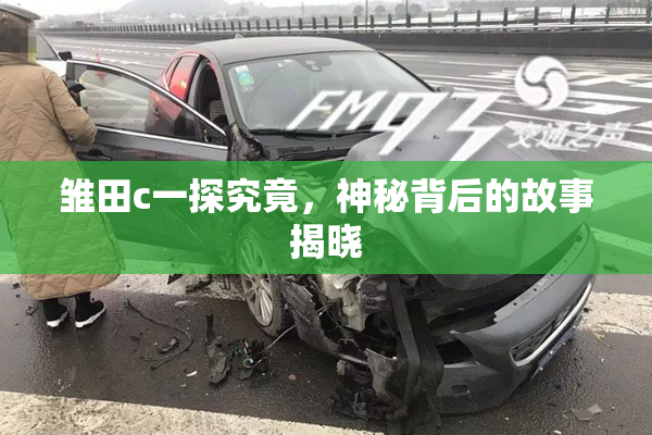 雏田c一探究竟，神秘背后的故事揭晓