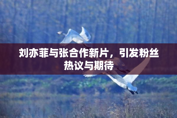刘亦菲与张合作新片，引发粉丝热议与期待