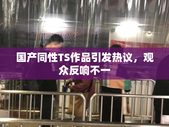 国产同性TS作品引发热议，观众反响不一