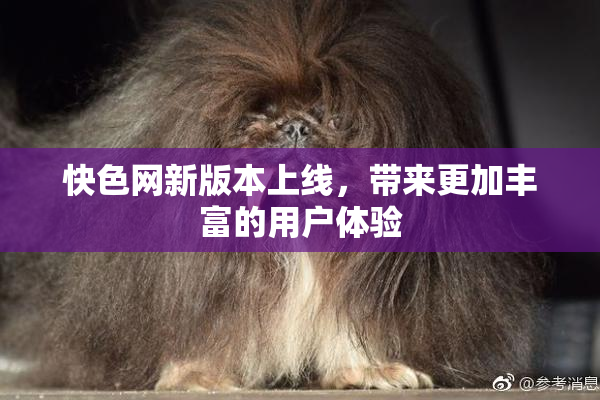 快色网新版本上线，带来更加丰富的用户体验