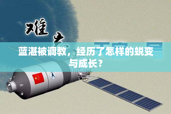 蓝湛被调教，经历了怎样的蜕变与成长？
