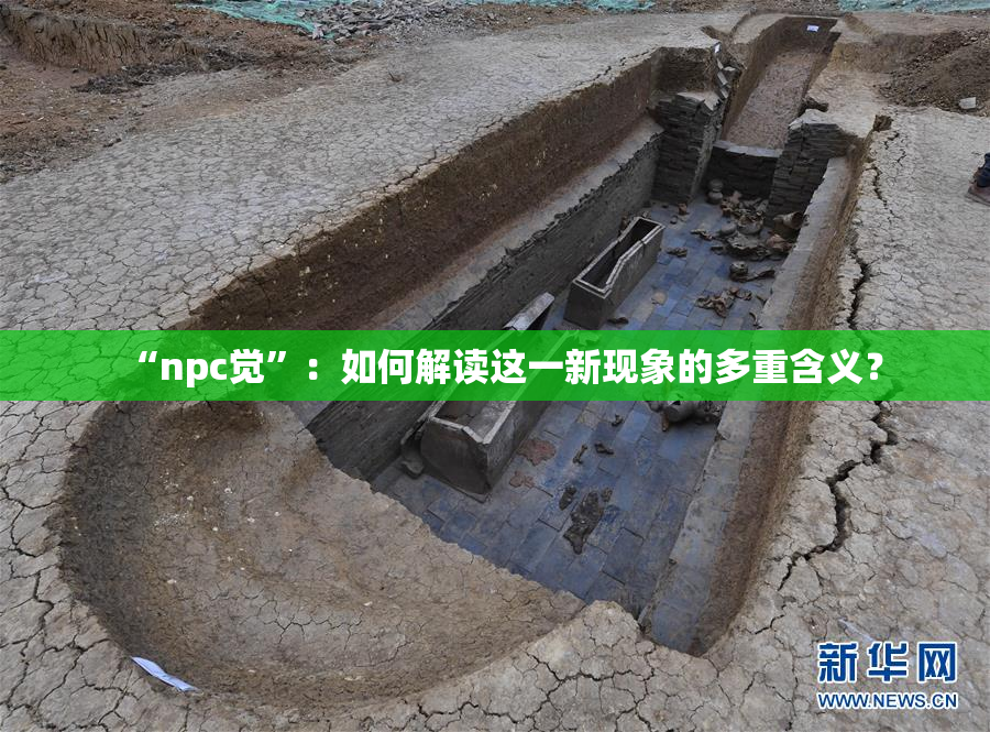 “npc觉”：如何解读这一新现象的多重含义？