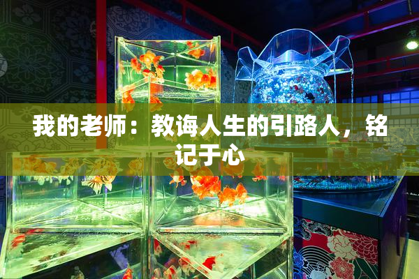我的老师：教诲人生的引路人，铭记于心