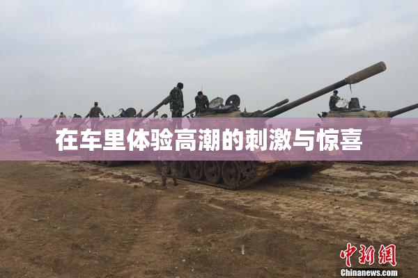 在车里体验高潮的刺激与惊喜