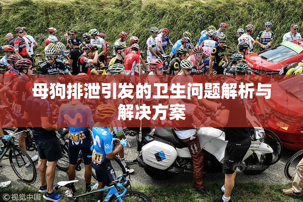 母狗排泄引发的卫生问题解析与解决方案
