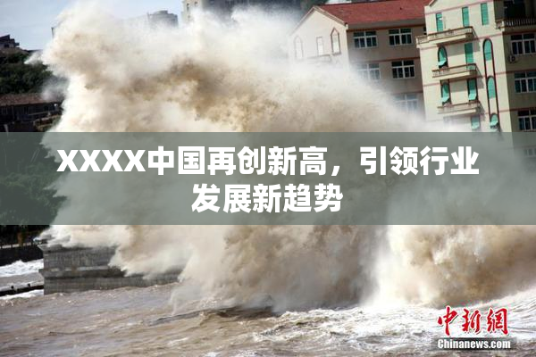 XXXX中国再创新高，引领行业发展新趋势
