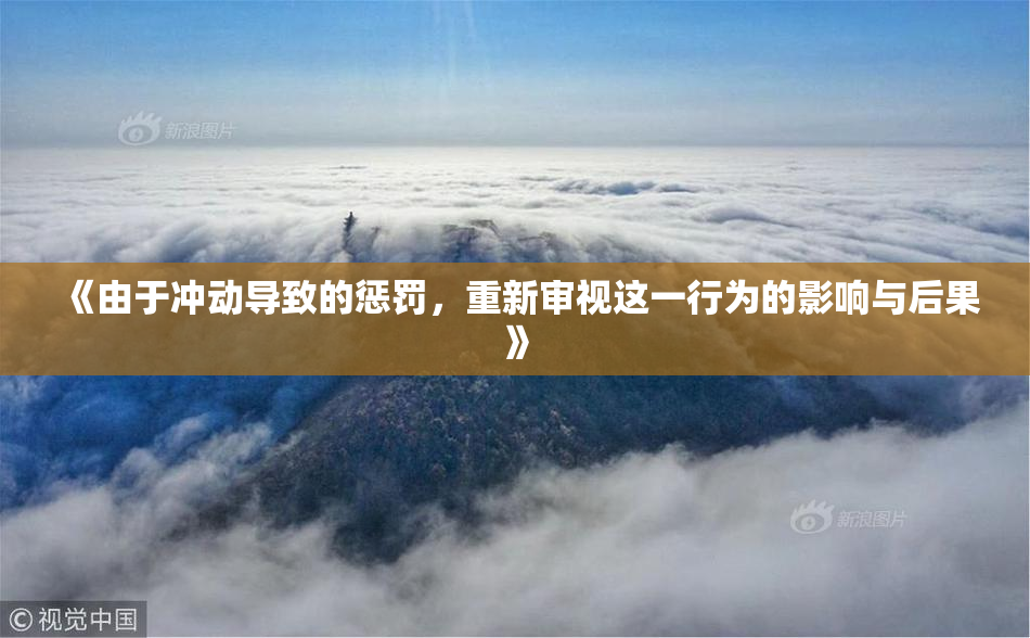 《由于冲动导致的惩罚，重新审视这一行为的影响与后果》