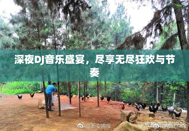 深夜DJ音乐盛宴，尽享无尽狂欢与节奏