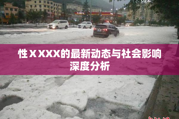 性ⅩXXX的最新动态与社会影响深度分析