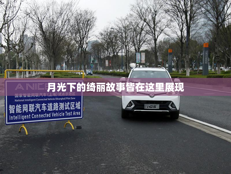 月光下的绮丽故事皆在这里展现