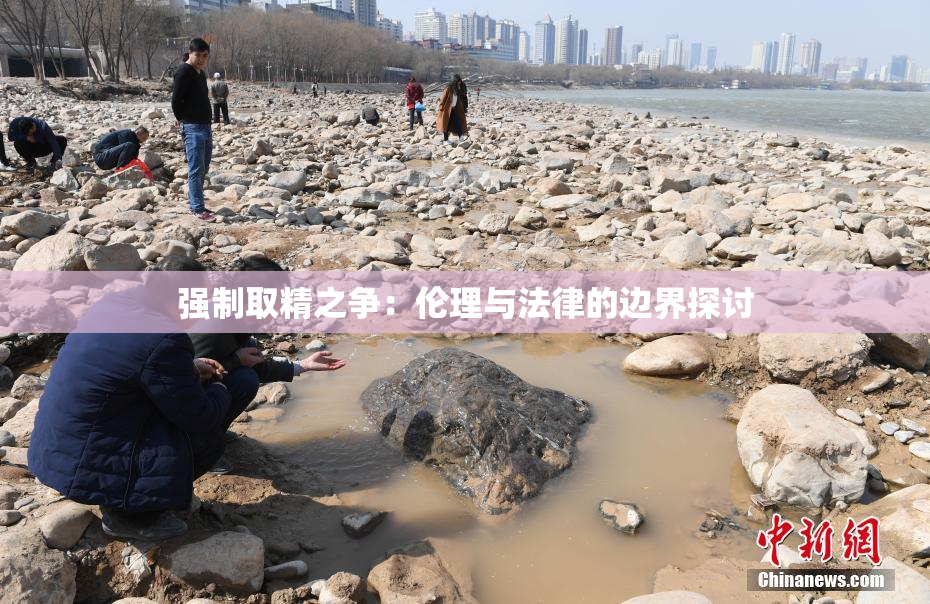 强制取精之争：伦理与法律的边界探讨