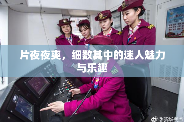 片夜夜爽，细数其中的迷人魅力与乐趣