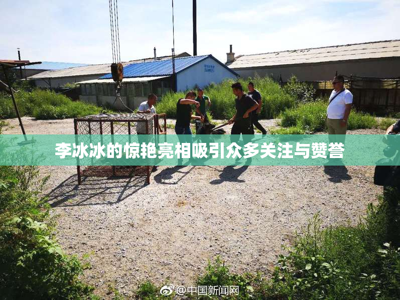 李冰冰的惊艳亮相吸引众多关注与赞誉