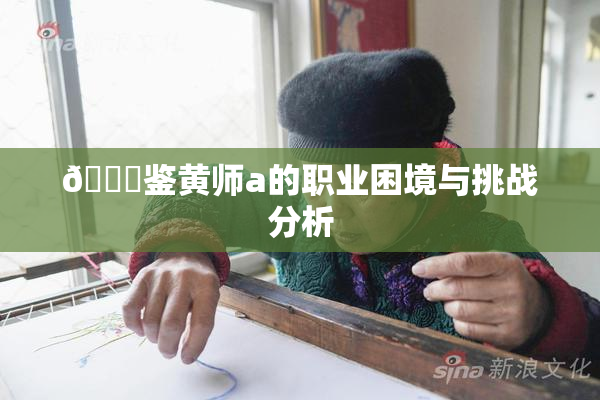🔞鉴黄师a的职业困境与挑战分析