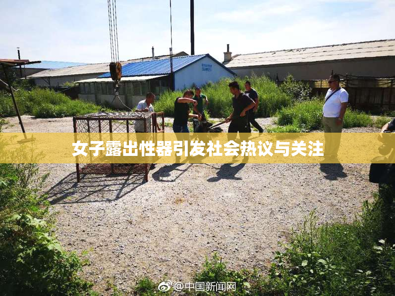 女子露出性器引发社会热议与关注