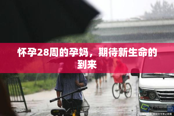 怀孕28周的孕妈，期待新生命的到来