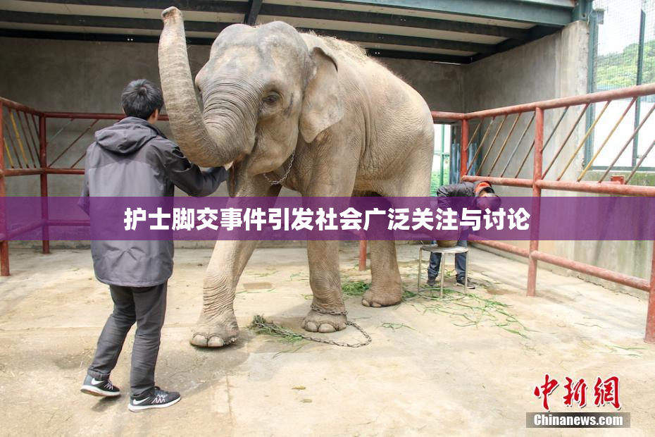 护士脚交事件引发社会广泛关注与讨论