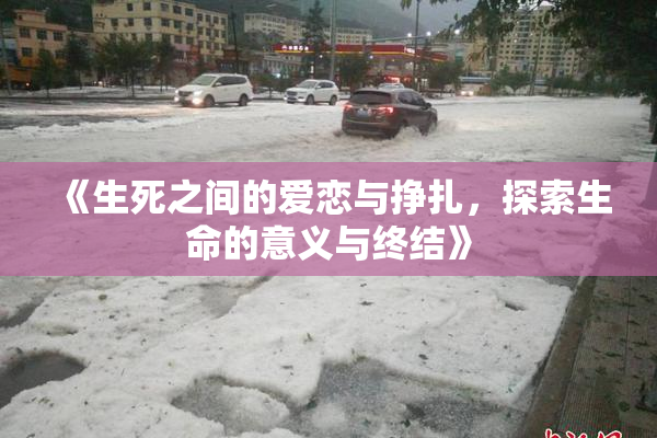 《生死之间的爱恋与挣扎，探索生命的意义与终结》