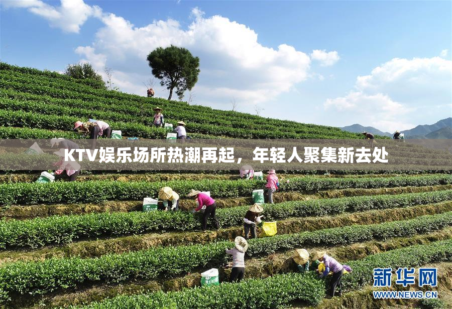 KTV娱乐场所热潮再起，年轻人聚集新去处