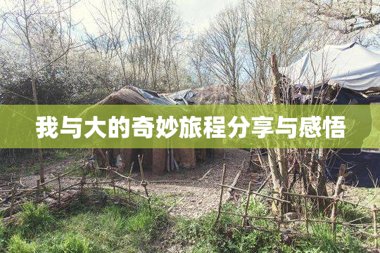 我与大的奇妙旅程分享与感悟