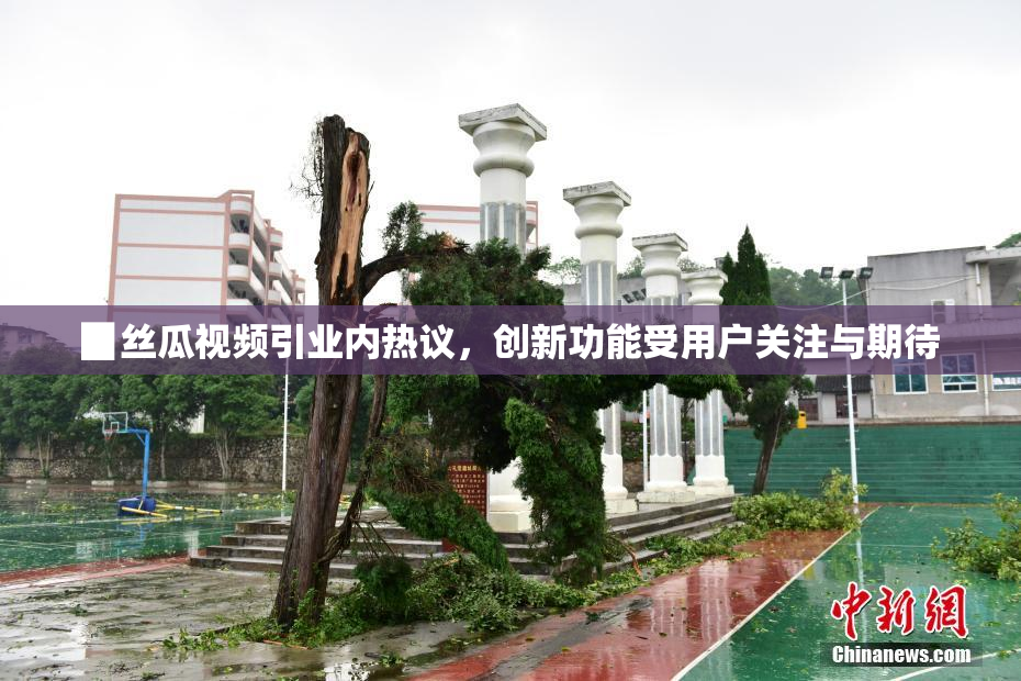 ▉丝瓜视频引业内热议，创新功能受用户关注与期待