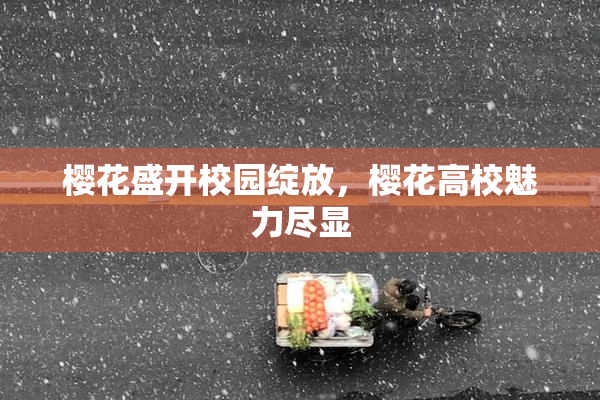 樱花盛开校园绽放，樱花高校魅力尽显