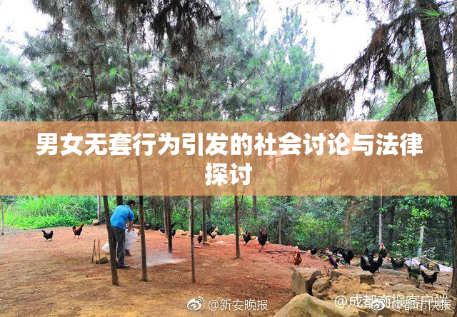男女无套行为引发的社会讨论与法律探讨