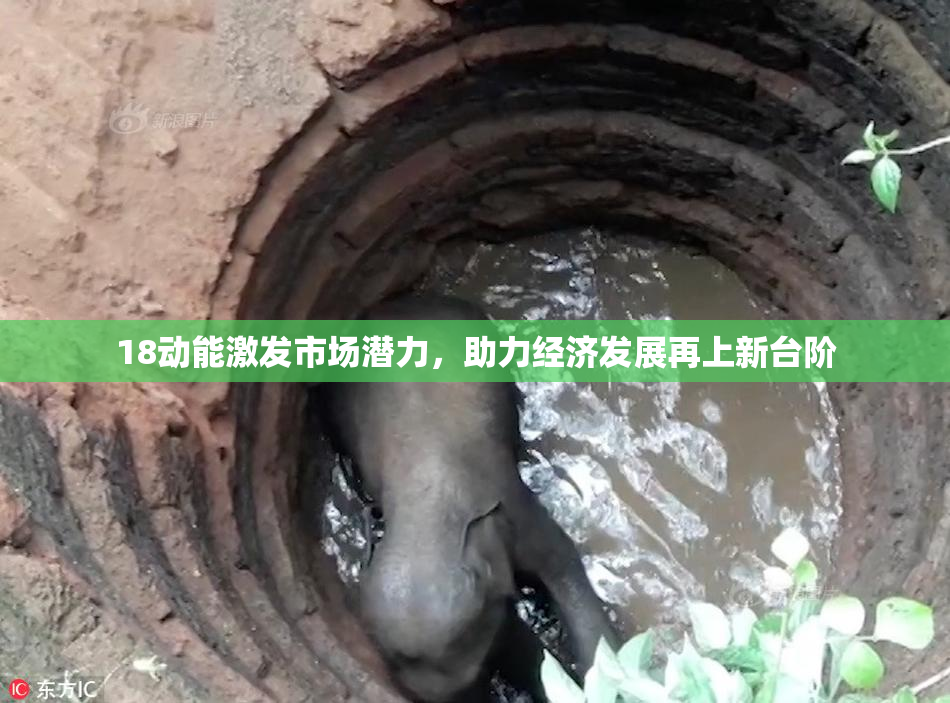 18动能激发市场潜力，助力经济发展再上新台阶