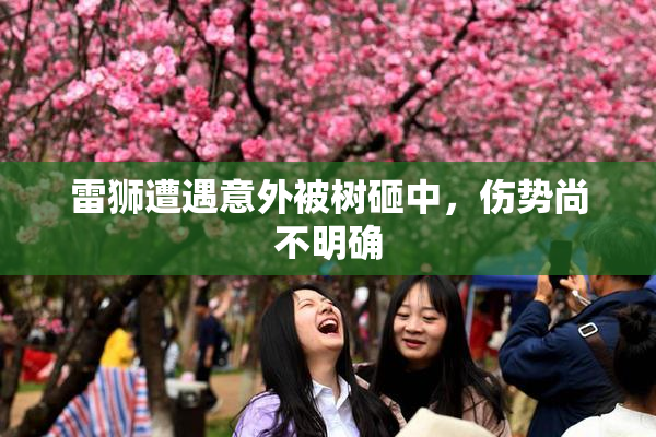 雷狮遭遇意外被树砸中，伤势尚不明确
