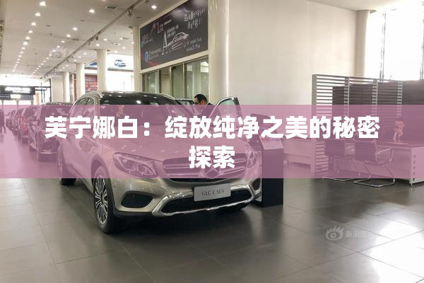 芙宁娜白：绽放纯净之美的秘密探索