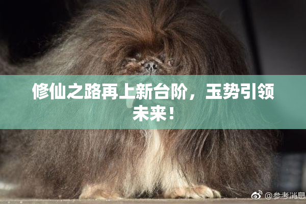 修仙之路再上新台阶，玉势引领未来！