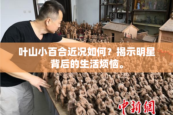 叶山小百合近况如何？揭示明星背后的生活烦恼。