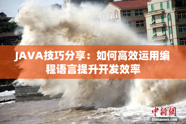 JAVA技巧分享：如何高效运用编程语言提升开发效率