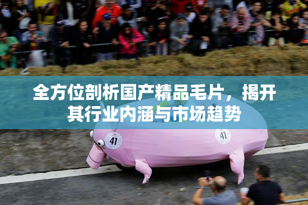 全方位剖析国产精品毛片，揭开其行业内涵与市场趋势
