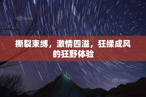 撕裂束缚，激情四溢，狂揉成风的狂野体验