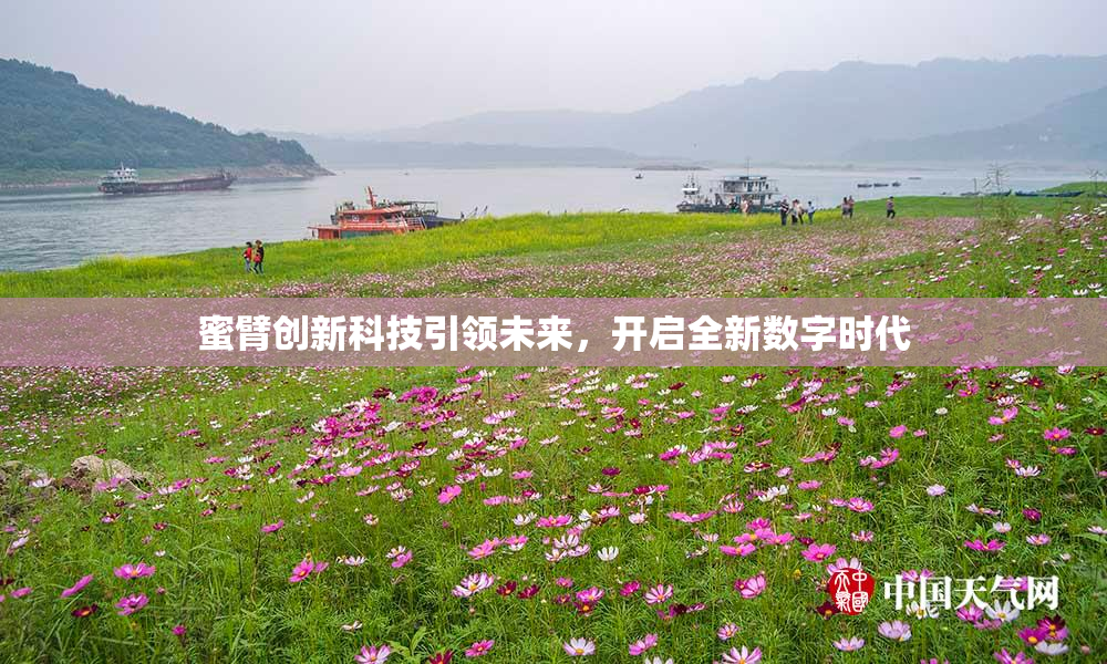 蜜臂创新科技引领未来，开启全新数字时代