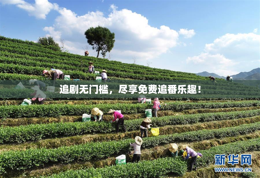 追剧无门槛，尽享免费追番乐趣！